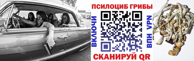 Галлюциногенные грибы ЛСД  продажа наркотиков  Северо-Курильск 